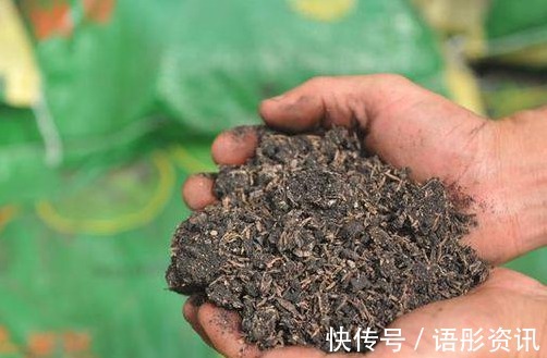 知道养花的三大要素是什么吗如果不懂得话,什么花也养不好