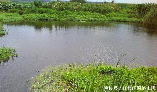 鱼群|冬季钓鲫鱼，避开这四种钓位，这里下钩10有9空！