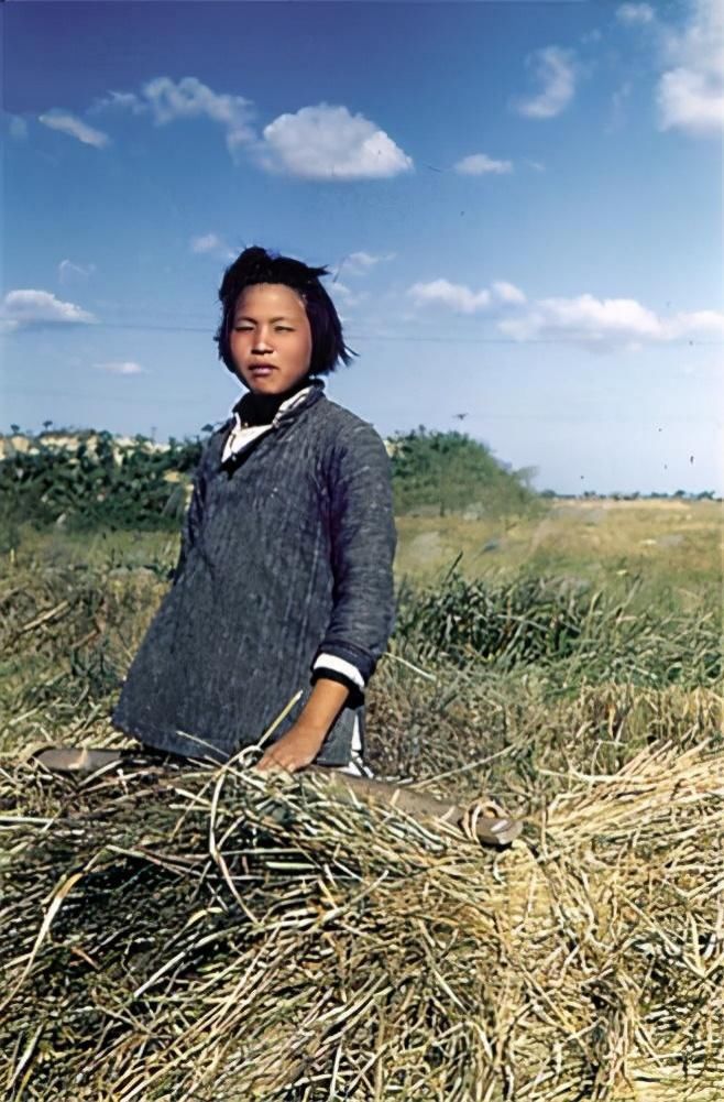 女工|郭台铭老谋失算10年富士康女工,抢东家生意,身价超580亿