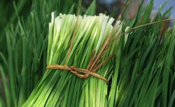 买韭菜,选宽叶还是窄叶?口感、味道区别挺大,弄懂后别再买错了