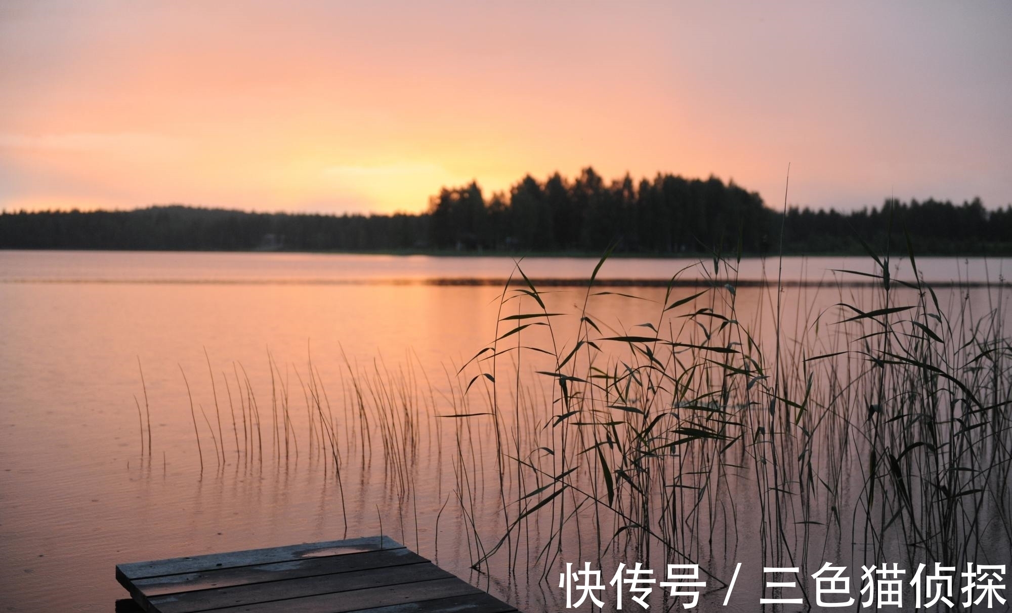 魂魄@李商隐凭吊屈原的一首诗,只短短4句,读来惆怅悲切,感慨万分