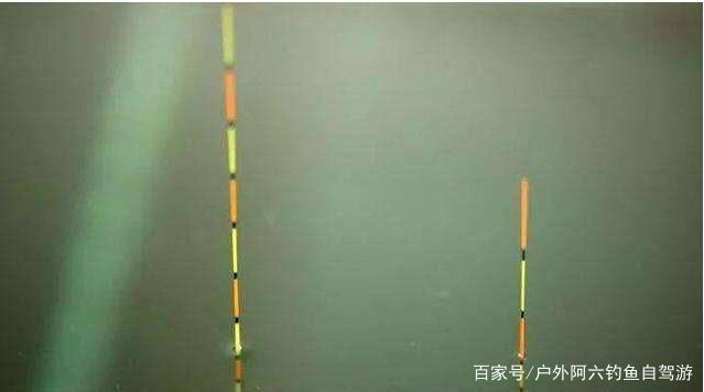 钓鱼调漂，怎么样判断水下双饵状态