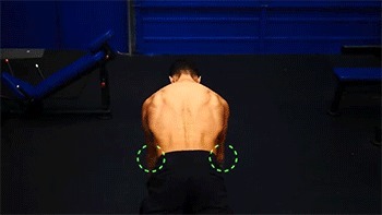 斜方肌|健身练背合集,每1块背肌都给你安排的明明白白