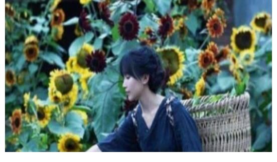 公司|昨日张大奕，今日李子柒，运作网红的公司到底要怎么开？