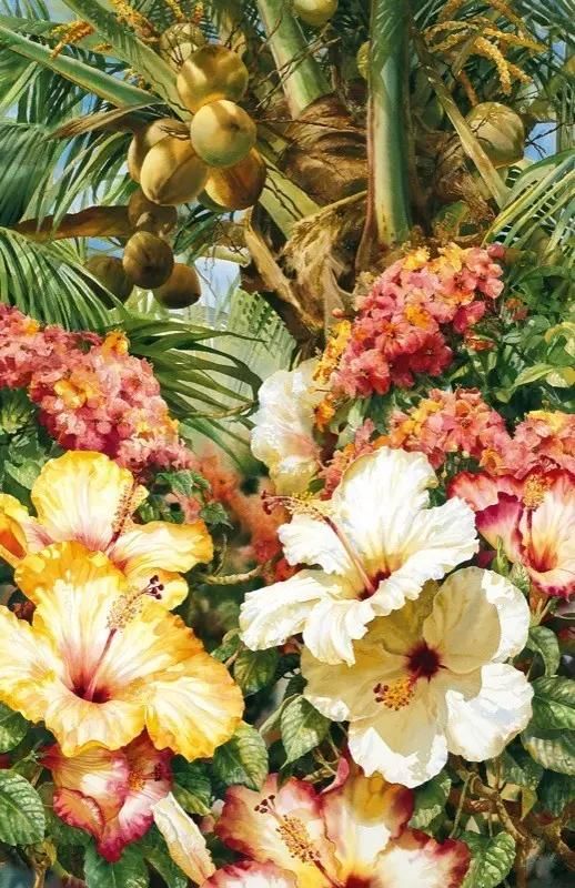 水彩&水彩画欣赏：澳大利亚水彩画家30张水彩花卉，动人