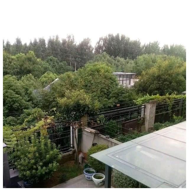 炒房|我国的房价泡沫大吗？真不大