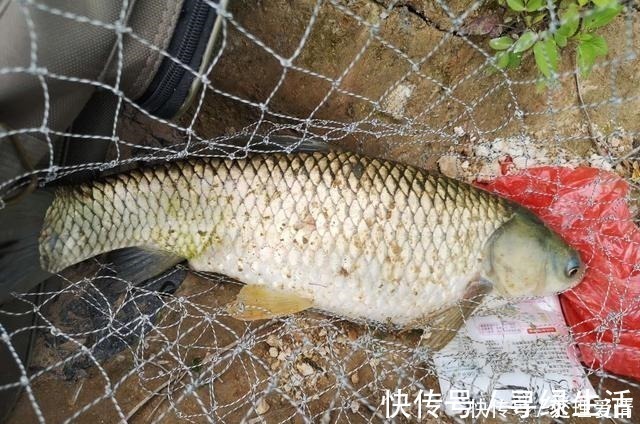 野钓鱼儿活跃水层多变,如何快速定位鱼层两个方法三个原则