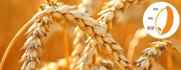 心脑血管|为何中国脑梗发病率全球第一?原因:体内缺少叶酸!饮食就能补上