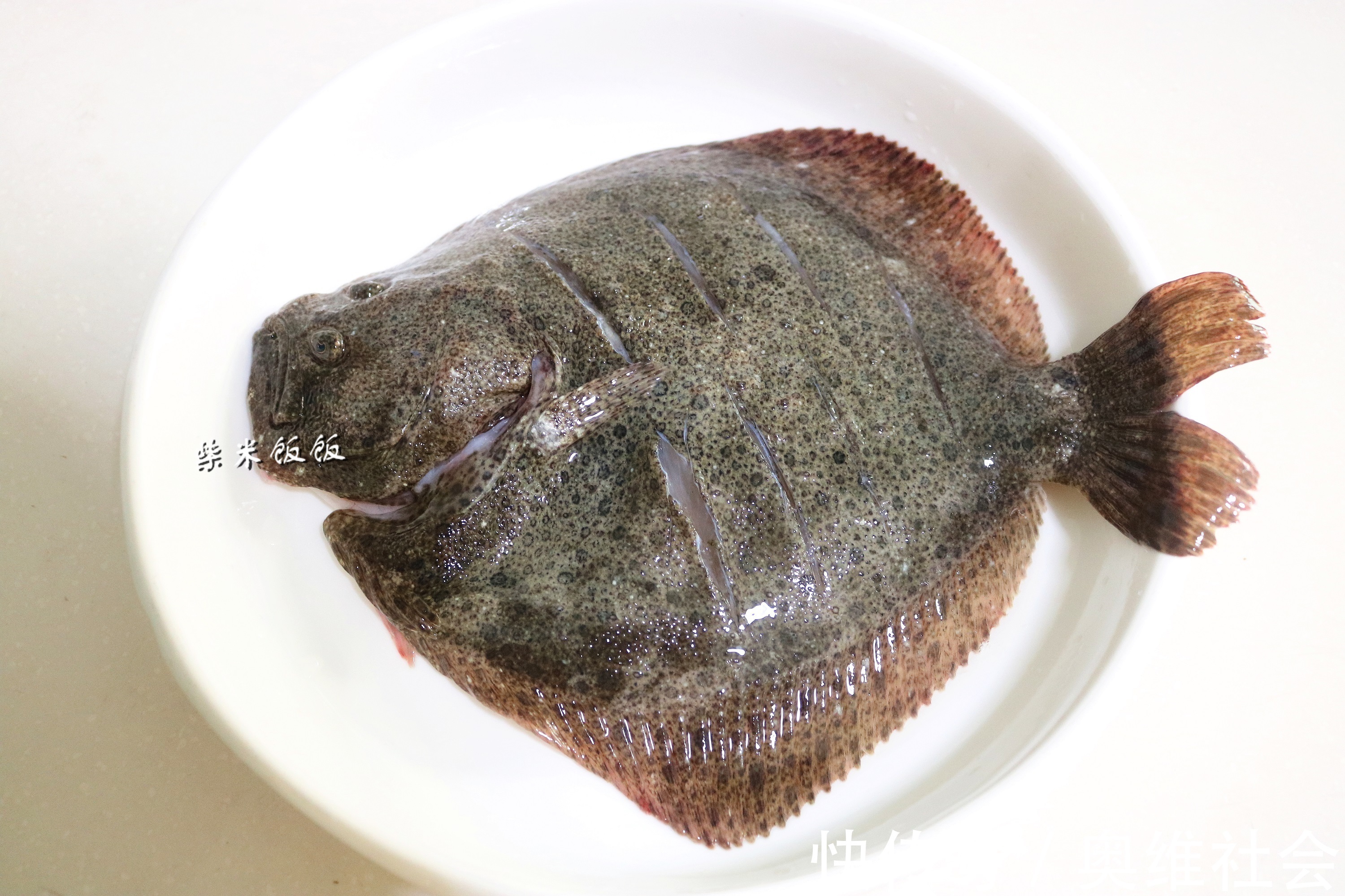 多宝鱼|给孩子吃鱼，聪明妈妈都买这鱼，肉多刺少营养高，贵点也值得