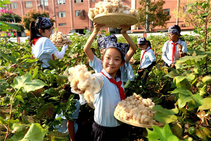 采摘|丰收啦！海宁这群小学生采摘忙……