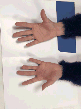 動(dòng)作|每天堅(jiān)持做4個(gè)動(dòng)作,大腦反應(yīng),越來越快!