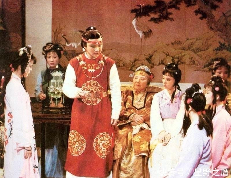 护花使者!晴雯被撵的生死关头,贾宝玉为何袖手旁观,并狠心称:就当她死了