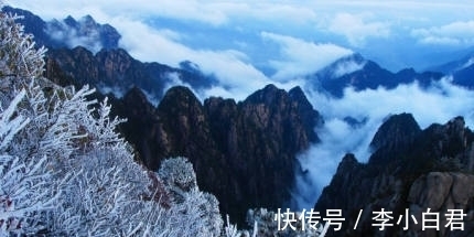 林园&诗词丨冬日感怀