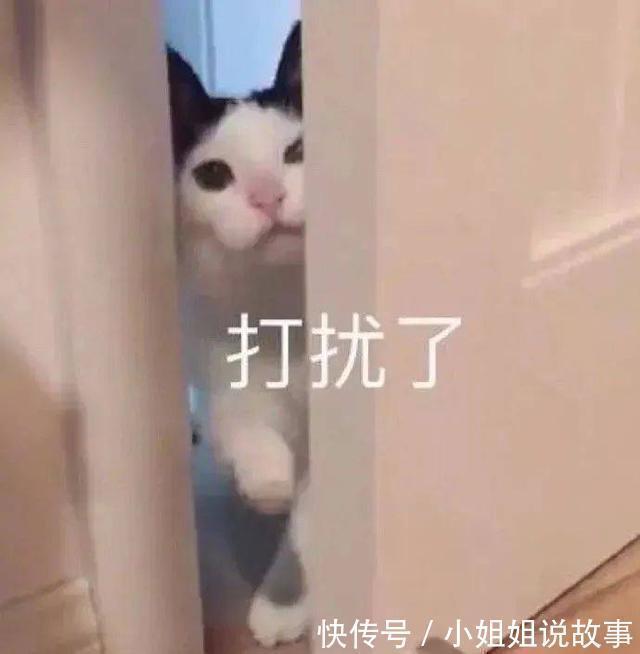 |搞笑表情包更新:再坚持坚持,一辈子很快就过去了