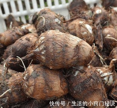 七月，这种食物要常吃，每周吃几次，嘴巴香香，肠道舒畅