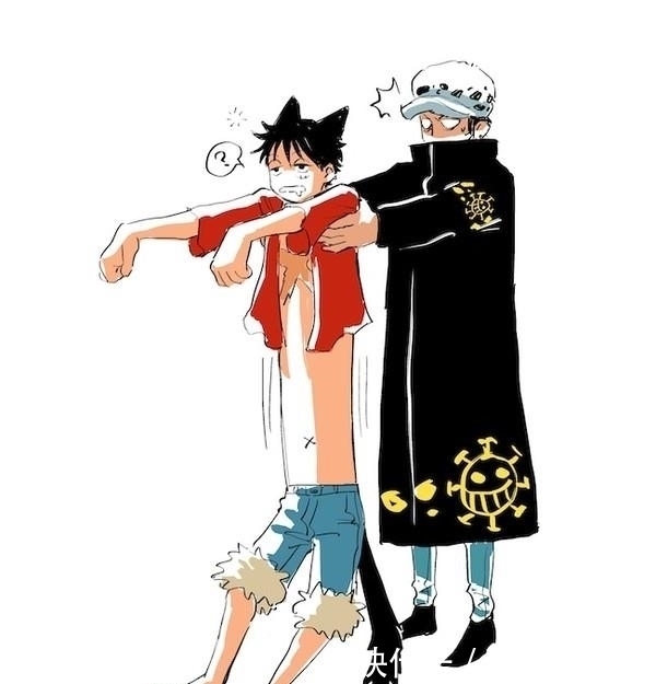 海贼王|海贼王插画分享,特拉仔被罗宾恶搞,贝波月狮化险失控