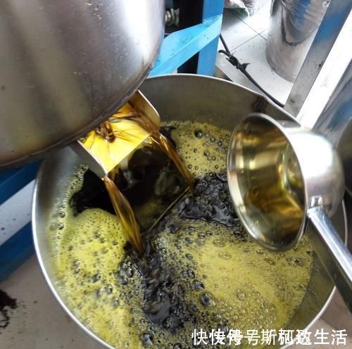 老人|老人最爱的菜籽油,经常吃会导致老年痴呆?用真实实验告诉你真相