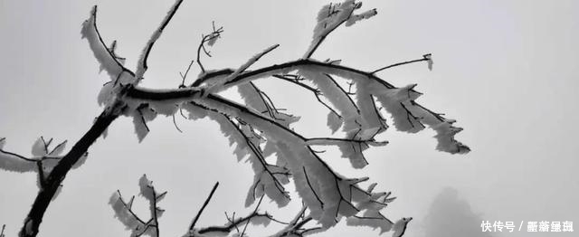 驶向第三极：武当山的雪，惟愿与你再相逢