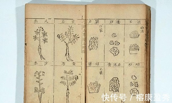 青史|李时珍本是王府一名小大夫，天时地利人和，让他留名青史