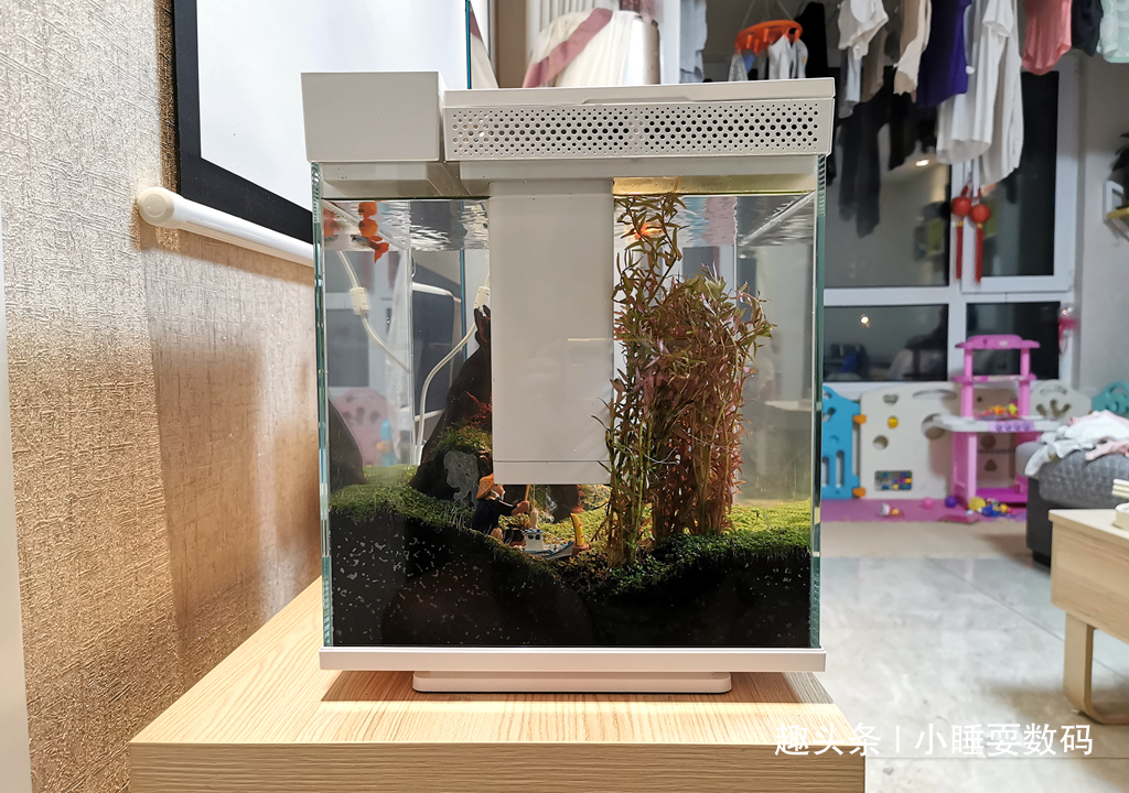 哪种鱼缸更适合养鱼画法几何AI智能鱼缸，水质监测还能自动喂食