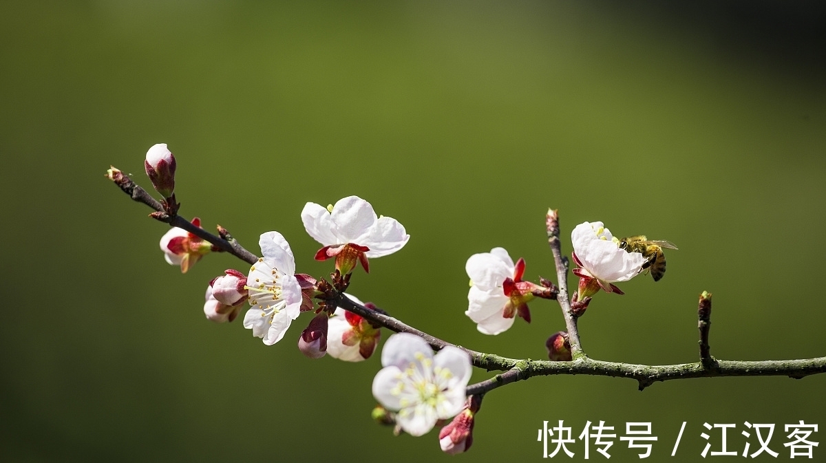 王维|九首情谊古诗词：青山空向一帆远，汀州落日五湖春