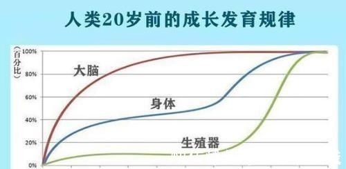 家长|哈佛研究发现:孩子一生中有3次机会“变聪明”,家长别轻易错过