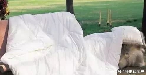 冬天晒被子没晒对等于白晒,这才是晒被子的正确方式!受用终身