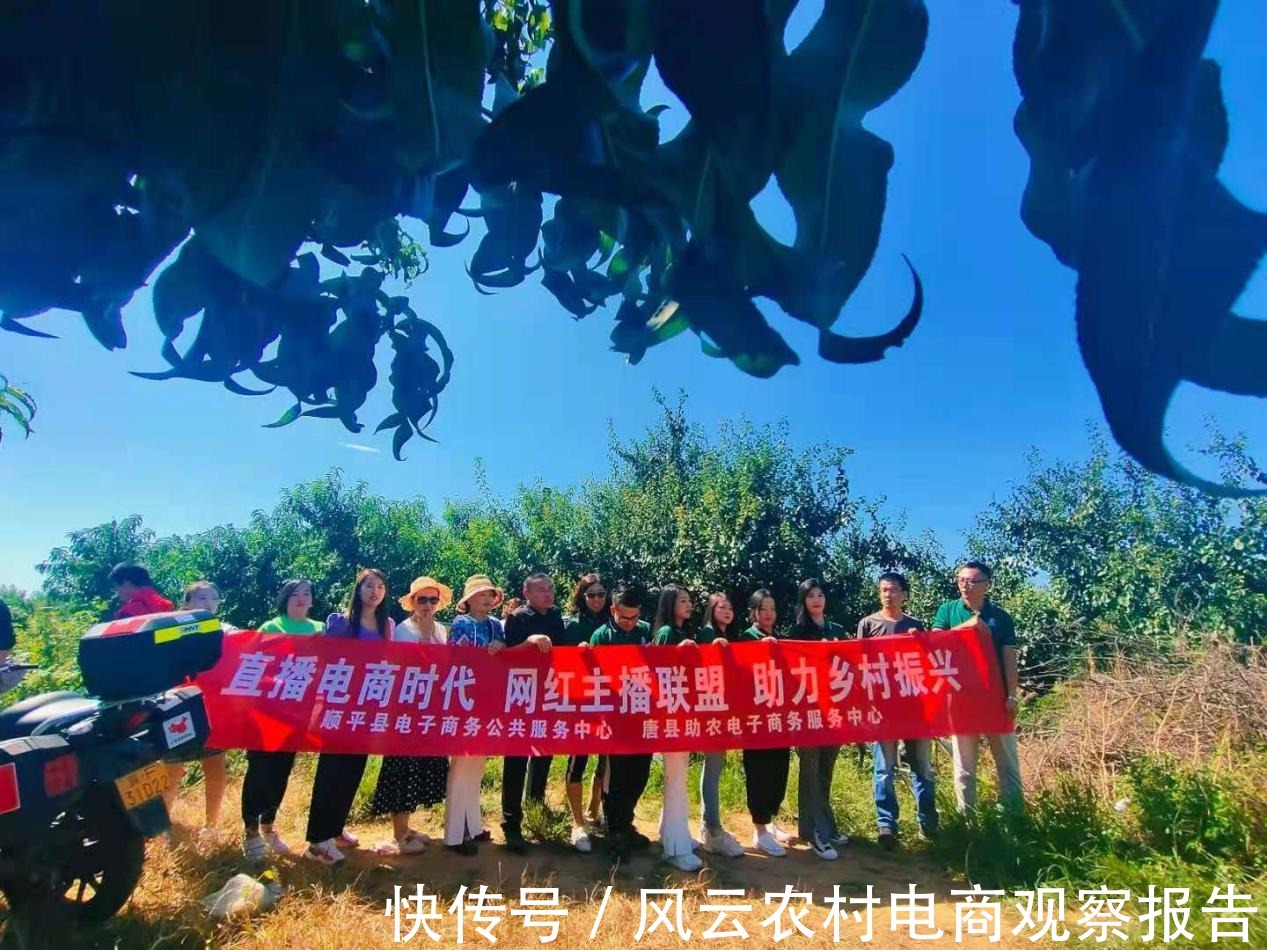农产品|提升公共品牌影响力 顺平网红带货直播活动｜轩琪案例