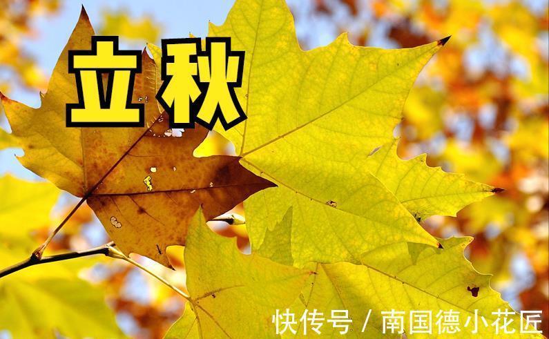 肉汤|立秋吃药一箩筐，不如多喝一肉汤，肉汤指的是什么汤