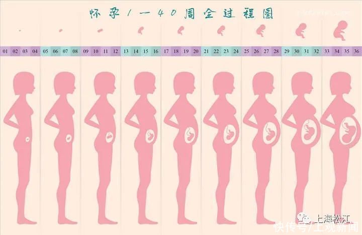 bmi|孕妇增重过多，危害有这些……