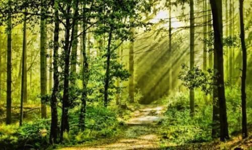 研究了87位百岁老人,“长寿之乡”有6个关键点