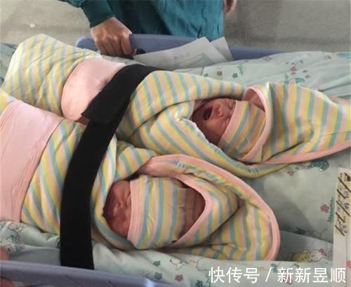 孩子|龙凤胎兄妹一个吃母乳,一个喝奶粉,几个月后网友调侃重女轻男