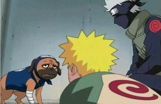 妙木山|火影忍者:这3只通灵兽是最弱的,凯的忍龟、卡卡西的狗全上榜