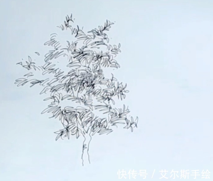 颜色|「艾尔斯马克绘」用马克笔如何画出栩栩如生的植物呢？