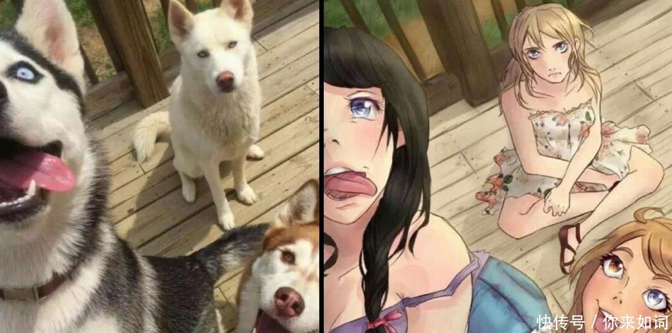 画师们|当动物被画师二次元化，可盐可甜可帅气，还是纸片人更让人心动