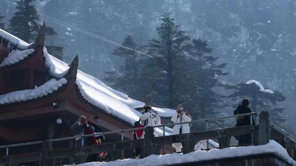 趁着错峰我去了趟峨眉山，不排队全山上下耍个够！