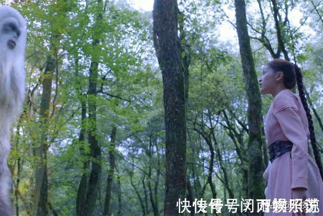 星斗大森林|斗罗大陆电视剧泰坦巨猿不足三米,像只狒狒?天青牛蟒却令人满意