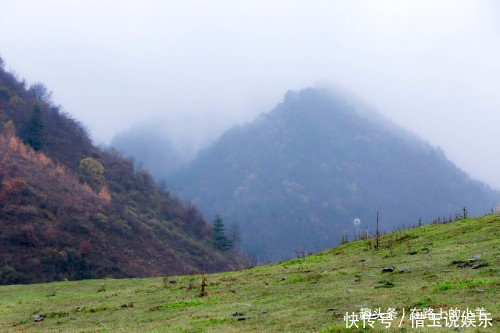 秦岭山中藏着一片草原,牛羊成群却不见主人放养,风景不输新疆