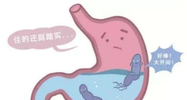 建议|幽门螺杆菌你了解多少感染后若要“斩草除根”,建议做好2方面