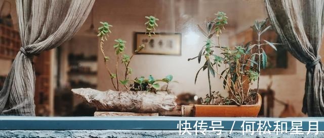 爱人|喜鹊欢叫，桃花怒放，遇到真爱，拥抱真爱，余生不分离