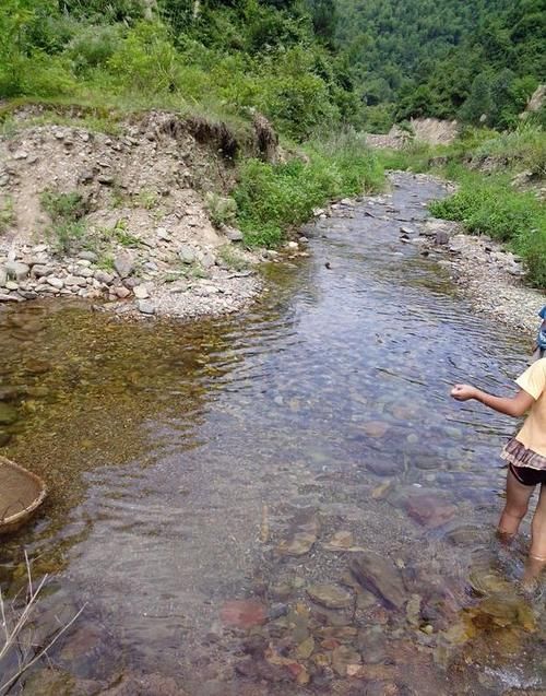 松针土|营养土还在买?3种东西混一混,变成万能花土,养啥旺啥!
