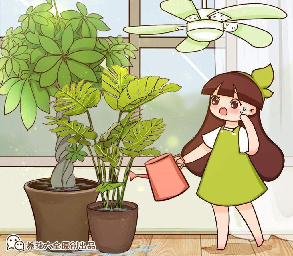 千万要忍住!冬天一浇水就烂根的5种植物,一不小心就只剩盆了!