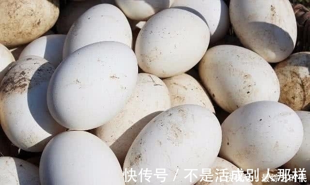 地瓜|有“脂肪肝”的人, 经常吃3种食物, 或许肝脏变得更“干净”