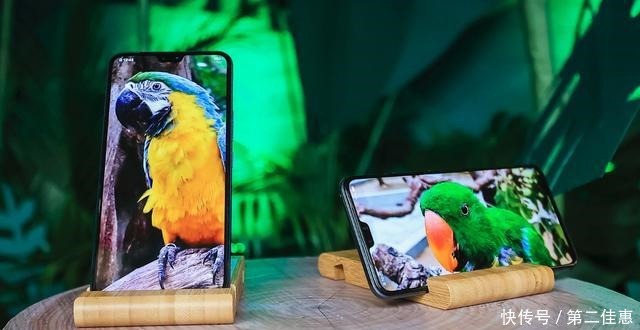 拍出|手机就能拍出整个动物园,vivo S7如何做到