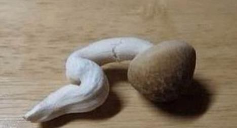 血瘀|和月经一起排出的“血块”是0什么?女人一般都会有,早知早受益