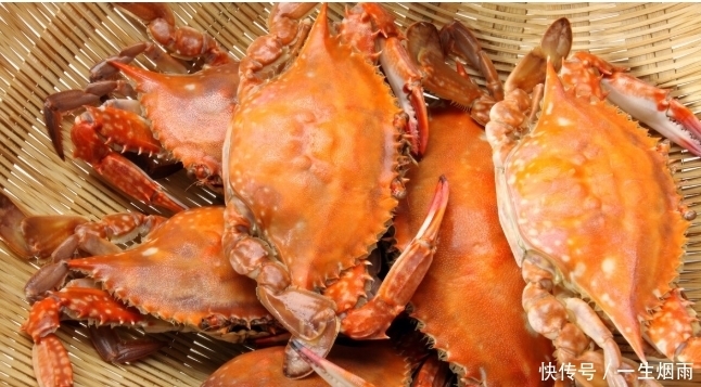 买到|买螃蟹时,学会从2个方面入手来挑选,包你买到的个个膏腴肥美