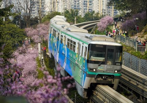 团圆|青山绕城去，繁花入眼来，重庆这条网红地铁带你驶向春天