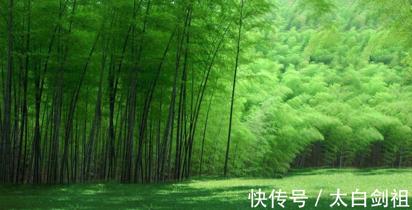 孟浩然!大诗人们的翠竹情怀,十二首著名的诗词,每一首都是经典