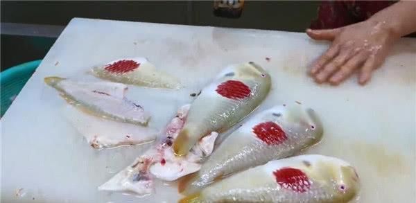 日本人捞上来的鱼,鱼身上印着日本国旗原来是不常见的高级食材