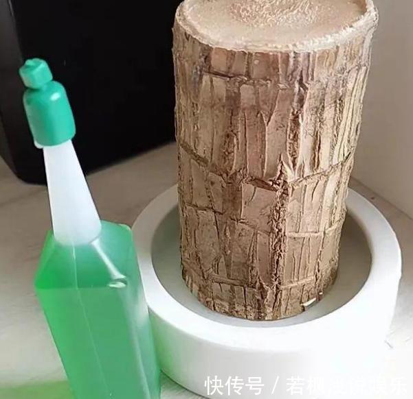 水培植物怕烂根?练就这项技能,啥烦恼都没了